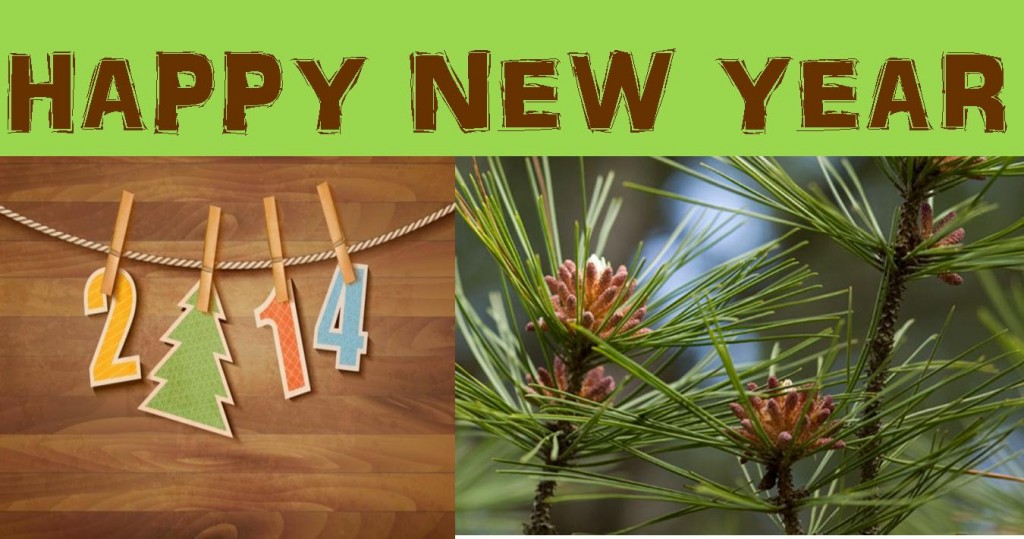 Happy New Year 2014