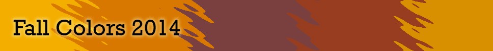 Fall Colors 2014 HEADER