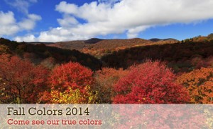 fall-colors-14 USFS