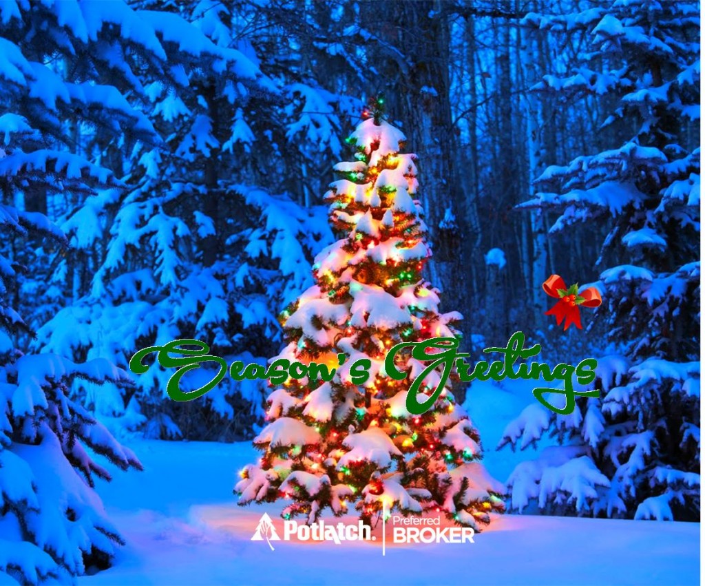 Seasons Greetings 2015